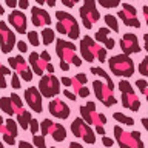 Meet your Posher, Bella